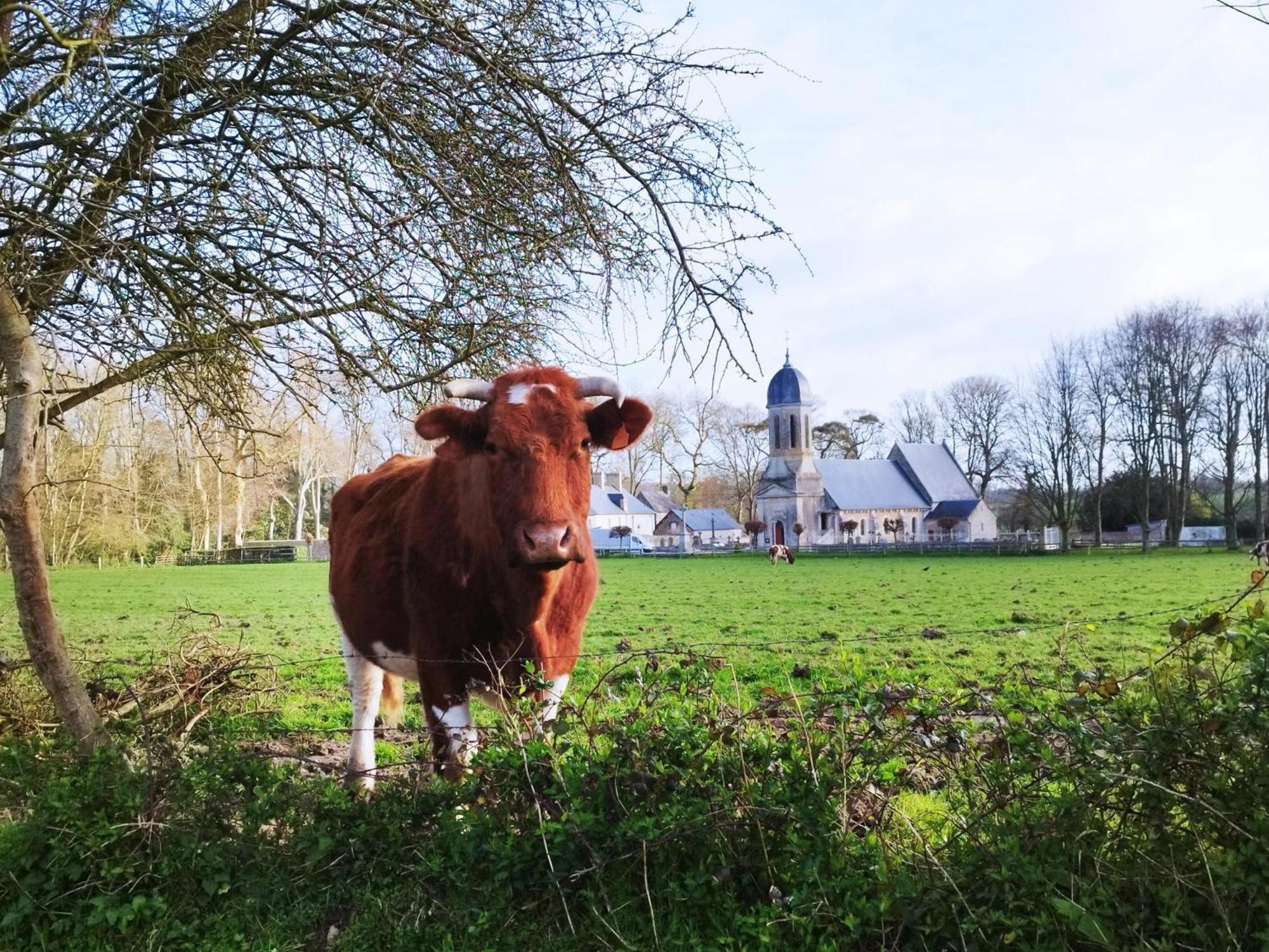 Comme A La "Maisons" Maisons  Exterior foto